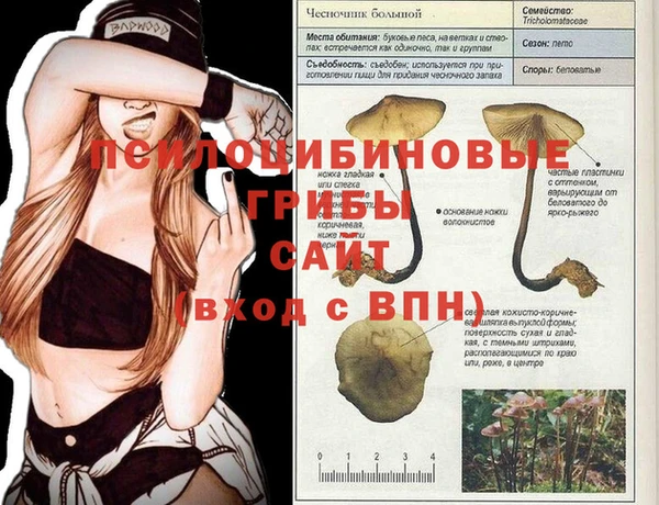 ПСИЛОЦИБИНОВЫЕ ГРИБЫ Балахна