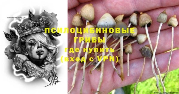 ПСИЛОЦИБИНОВЫЕ ГРИБЫ Балахна