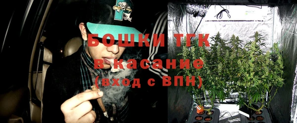 ПСИЛОЦИБИНОВЫЕ ГРИБЫ Балахна